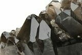 Natural Smoky Quartz Crystal Cluster - Brazil #231305-1